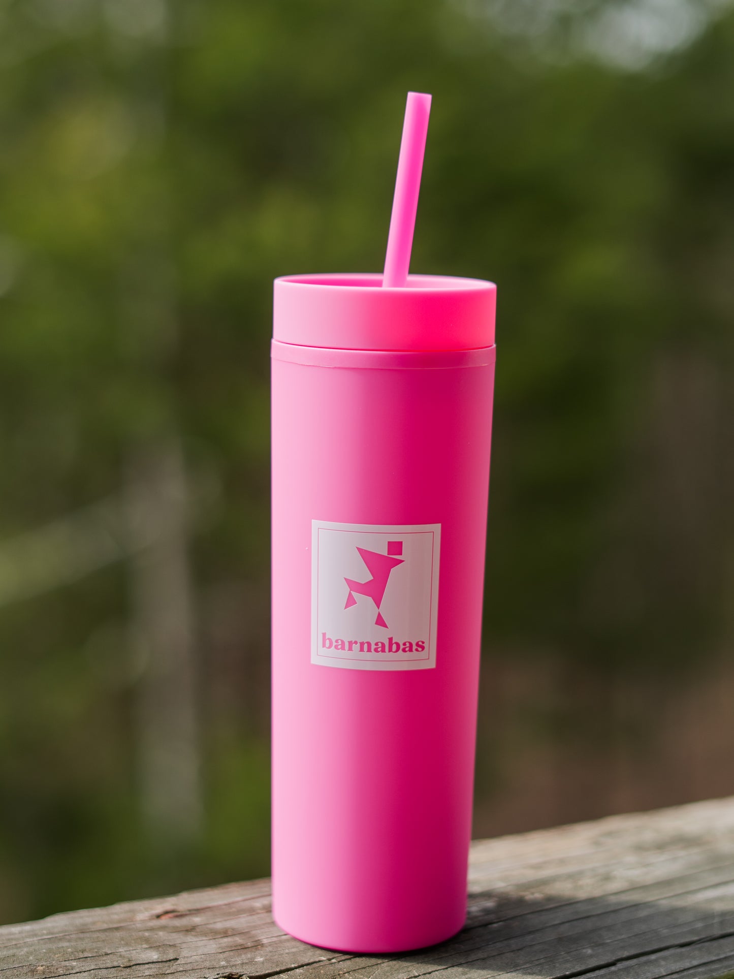 Cold Brew Cups