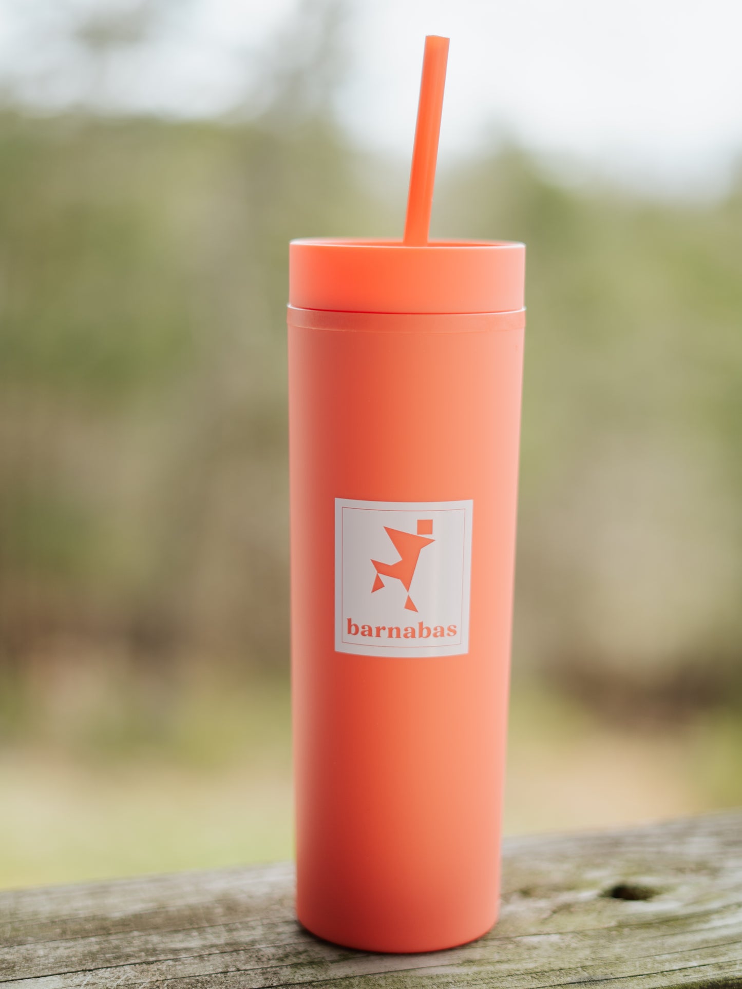Cold Brew Cups
