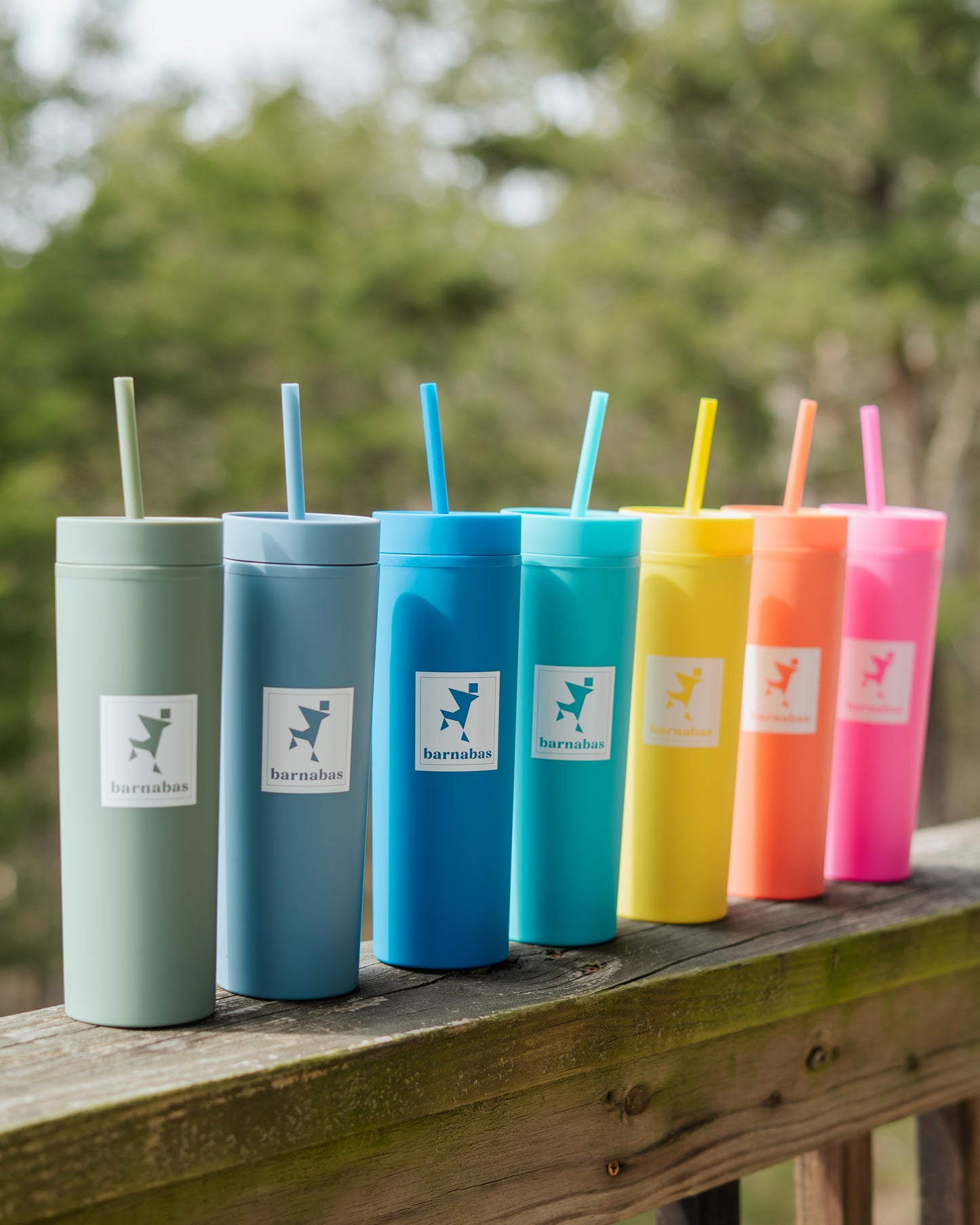Cold Brew Cups