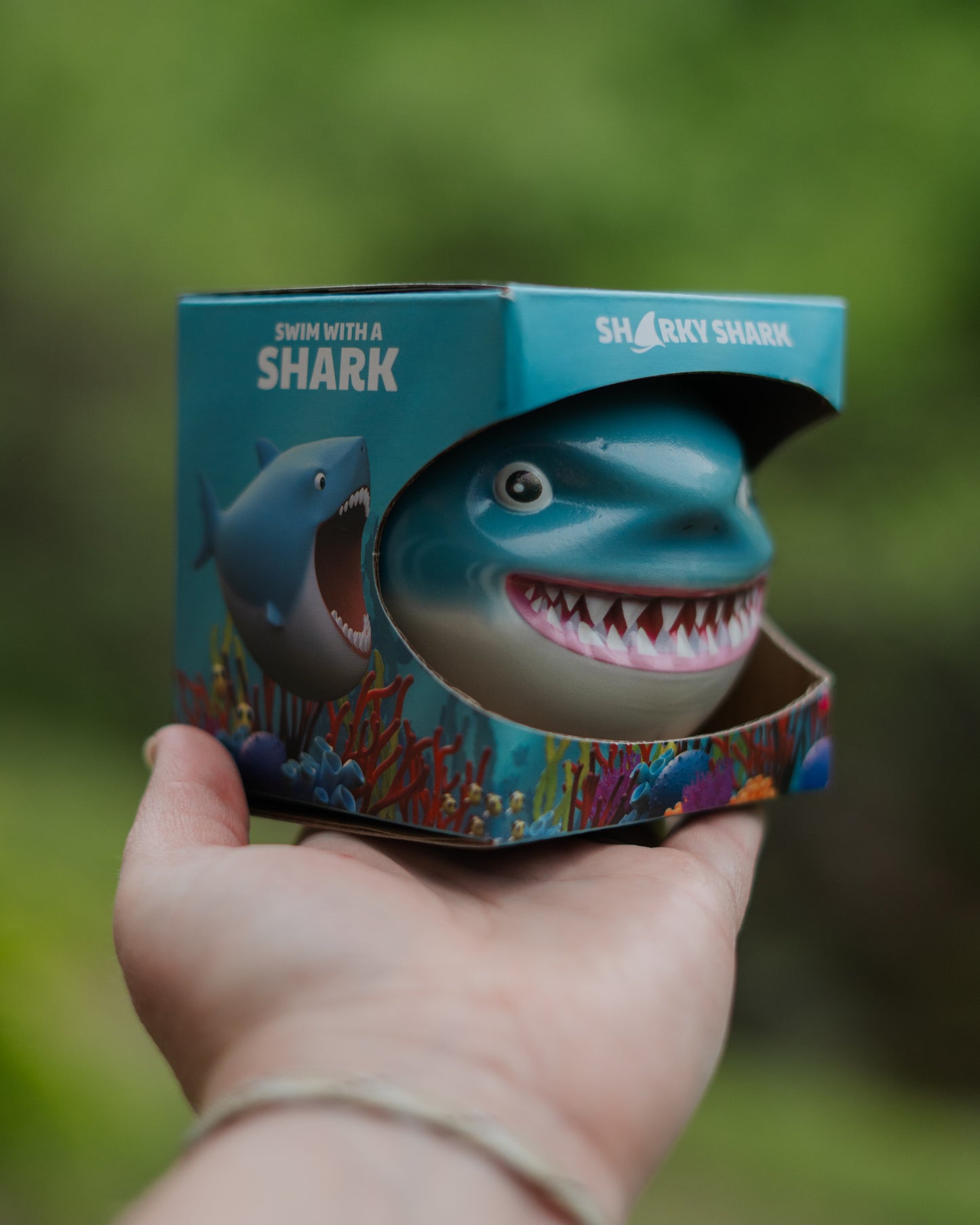 Sharky Shark