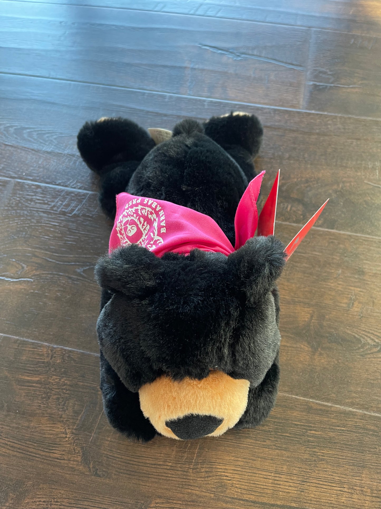 Barnaby Prep Bear
