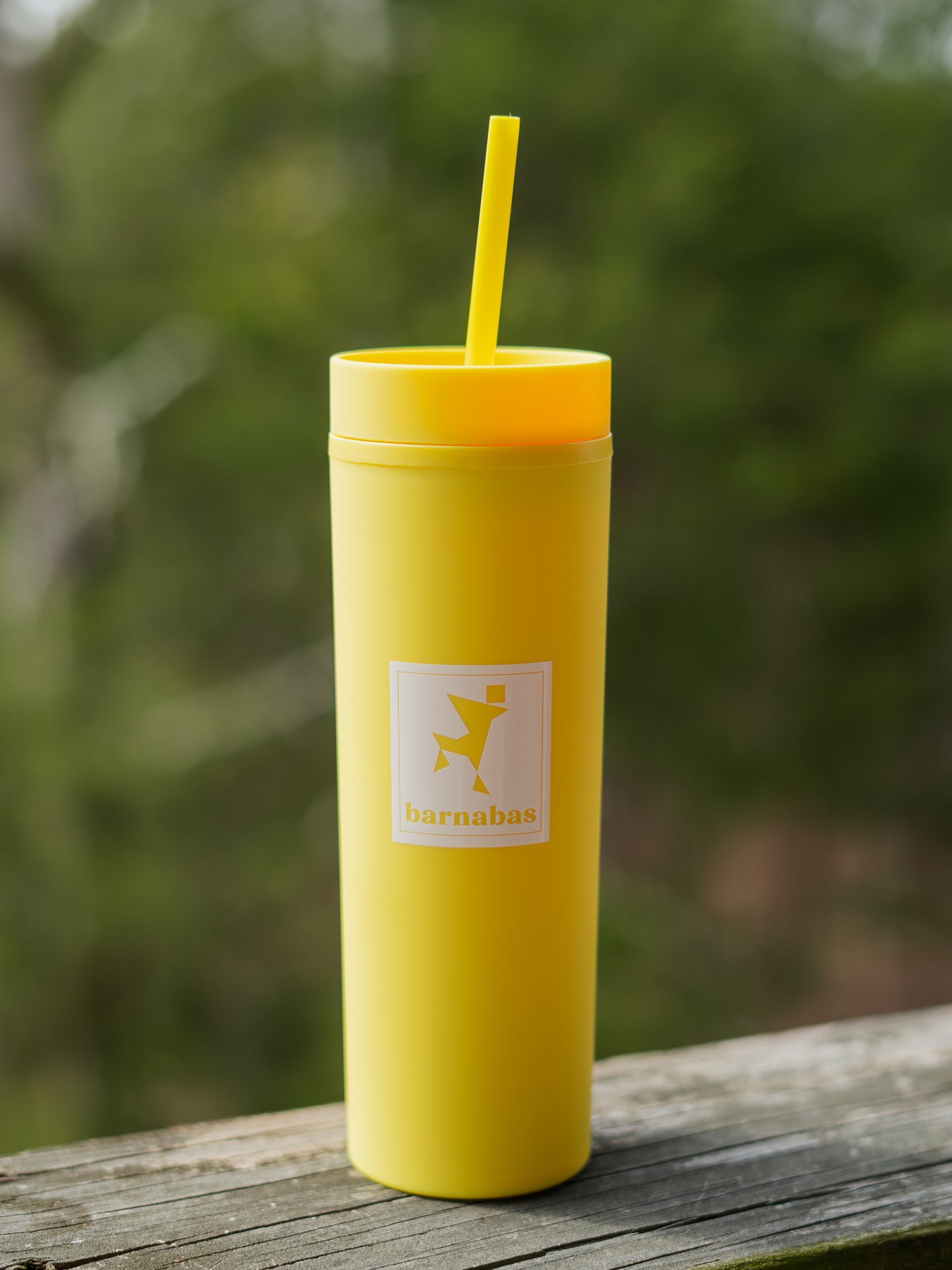 Cold Brew Cups
