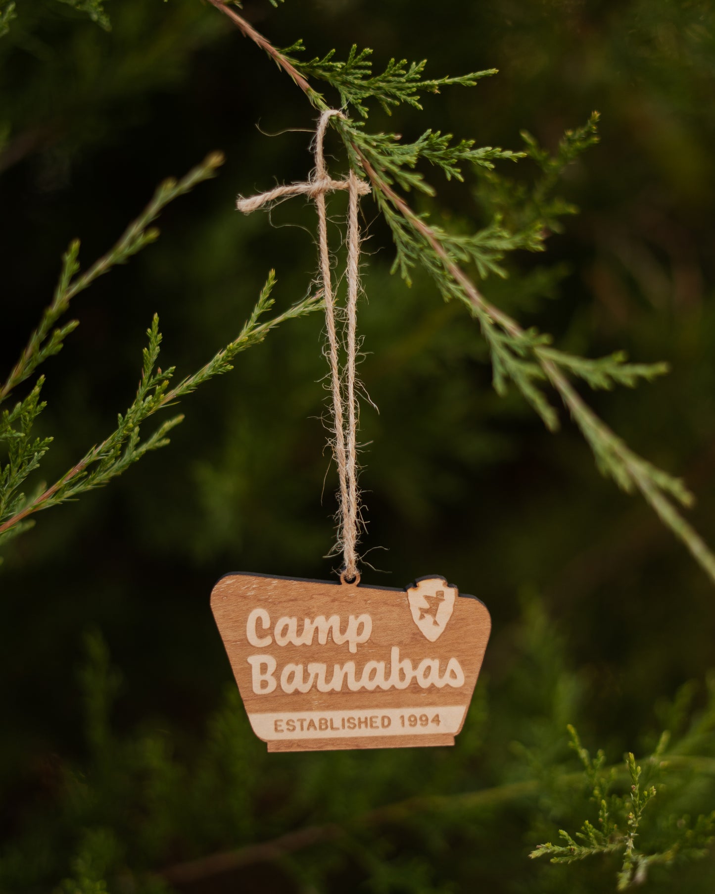 National Park Ornament