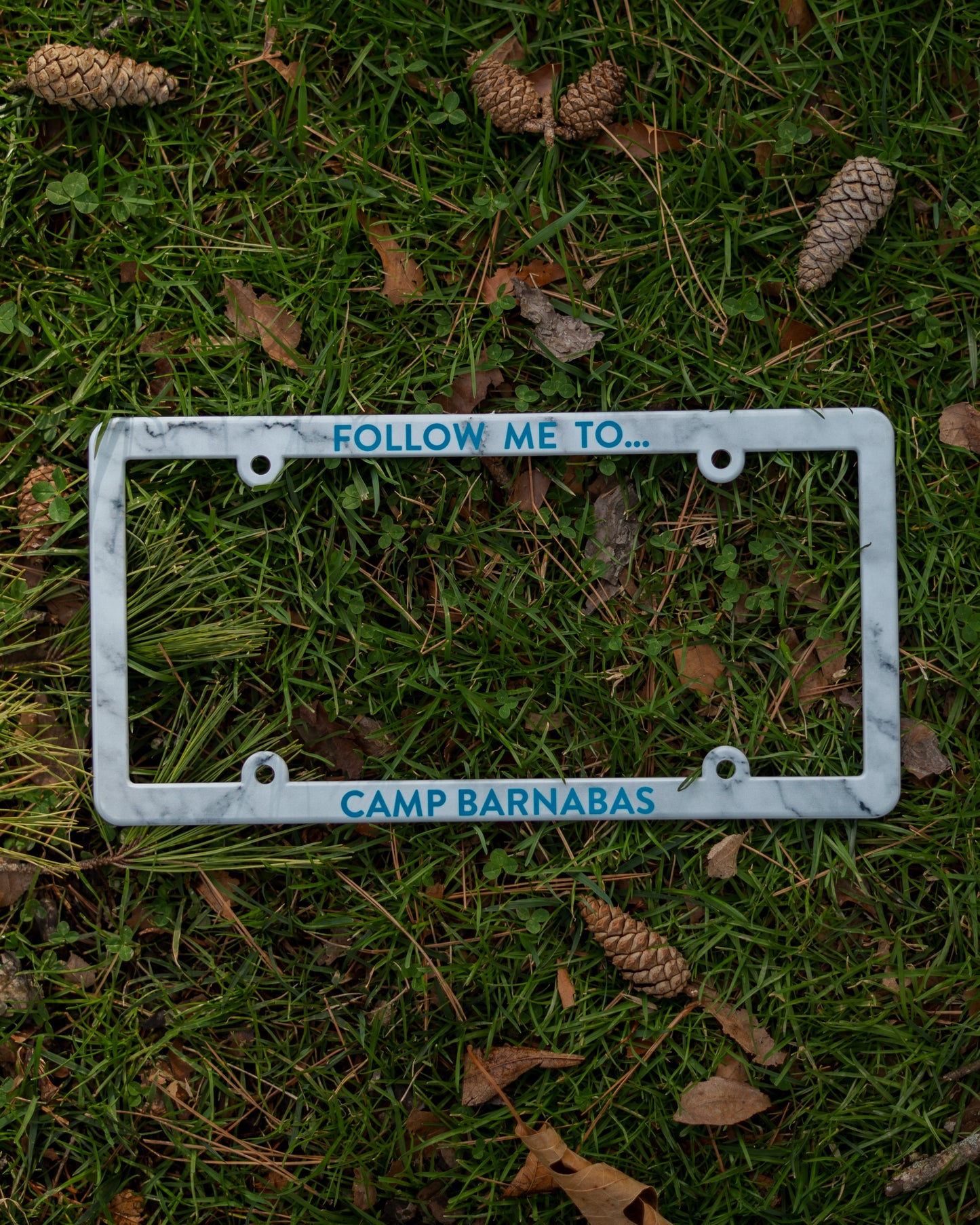 Follow Me License Plate
