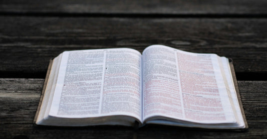 Bibles