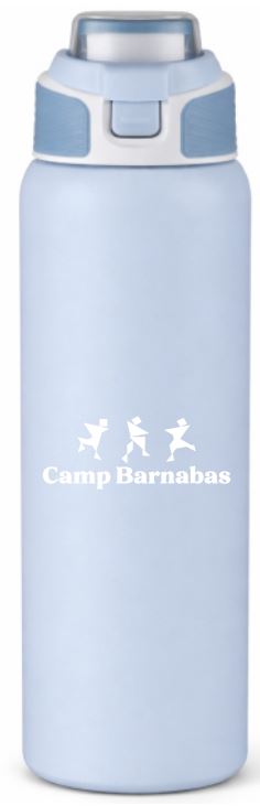 Stainless Bottle Push Button Flip Lid - 28oz