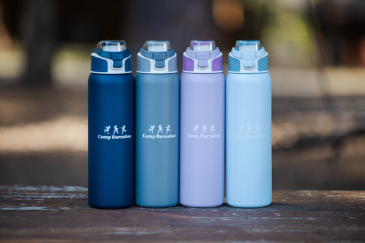 Stainless Bottle Push Button Flip Lid - 28oz