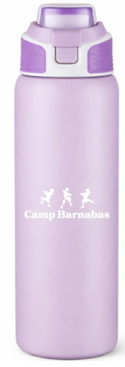 Stainless Bottle Push Button Flip Lid - 28oz